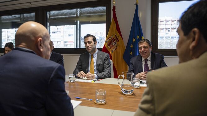 Carlos Cuerpo y Luis Planas, reunidos con representantes de Asemesa