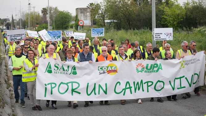 Los agricultores sevillanos llevan hoy su protesta al Puerto de Sevilla