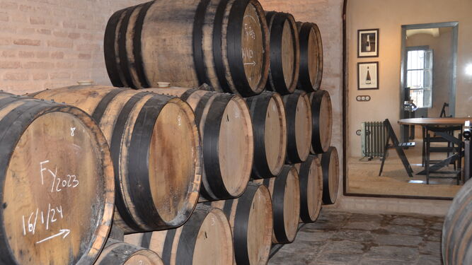 Un Museo del vino en las Bodegas Salado de Umbrete