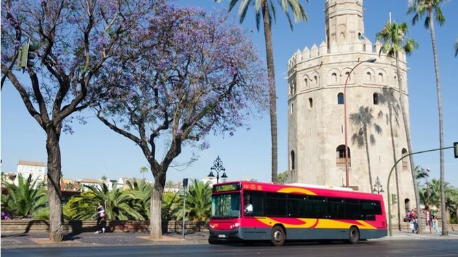 Un autobús de Tussam pasa por delante de la Torre del Oro.
