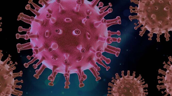 Virus B: qué es y cuáles son sus síntomas