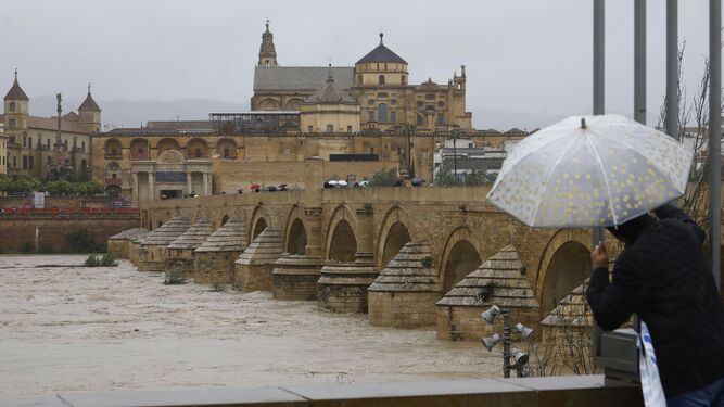 El río Guadalquivir a su paso por Córdoba el pasado mes de marzo.