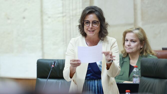 La consejera Catalina García, en el Parlamento.