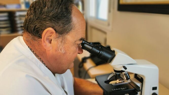Dr. José Carlos Orta observando granos de polen  en un microscopio
