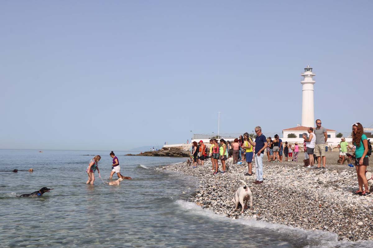 Playa canina de Torrox (Málaga)